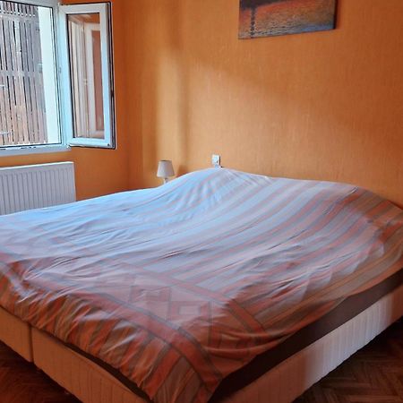 Appartement Le Grillenbreit Кольмар Экстерьер фото